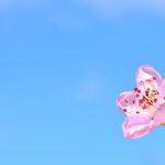 بهار به کجای ایران سفر کنیم